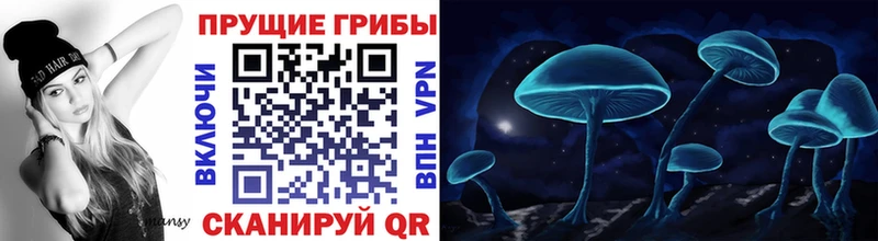 Галлюциногенные грибы Magic Shrooms  Михайловск 